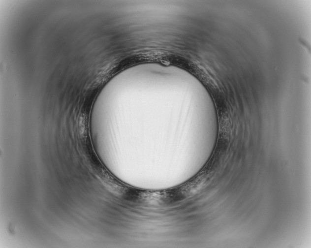 X0000094970131200712201231