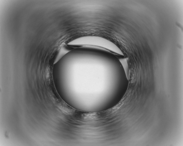 X0000094970132200712201231