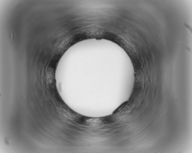 X0000094970133200712201231