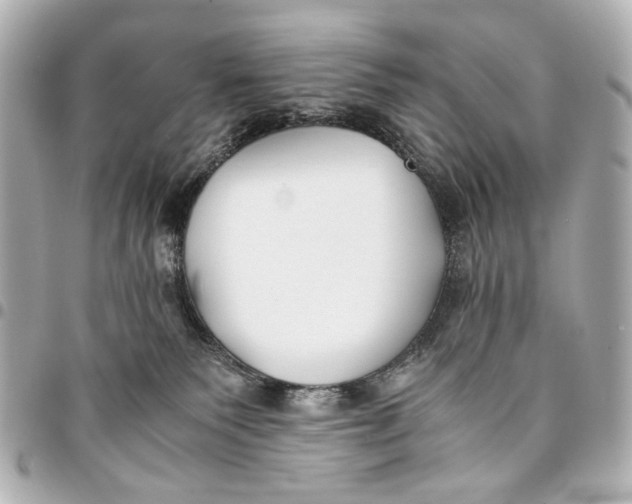 X0000094970135200712201231