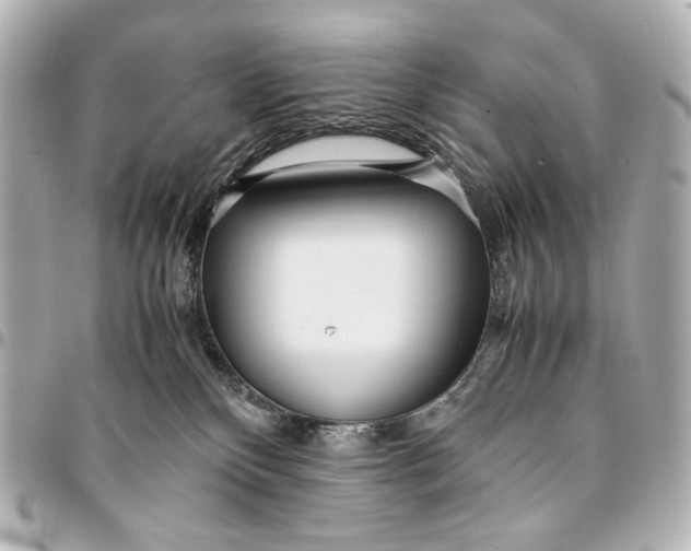 X0000094970136200712201231