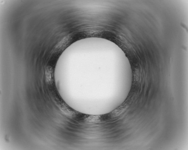 X0000094970138200712201231