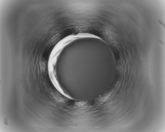 X0000094970139200712201231