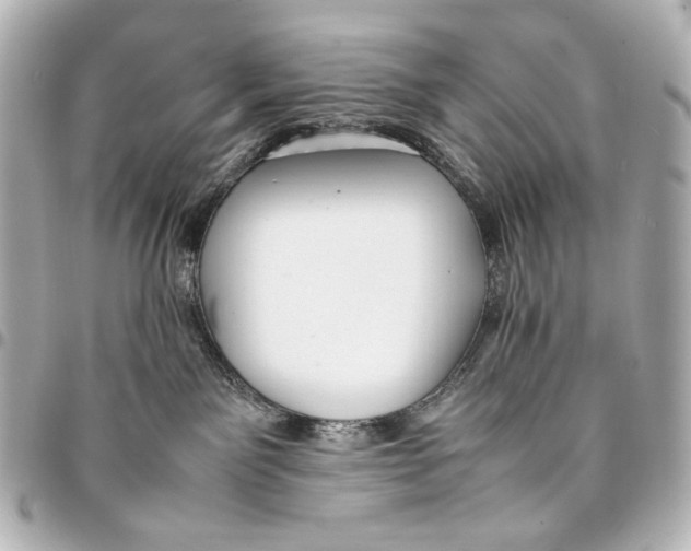 X0000094970141200712201231