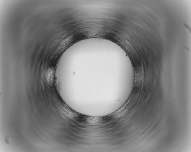 X0000094970142200712201231