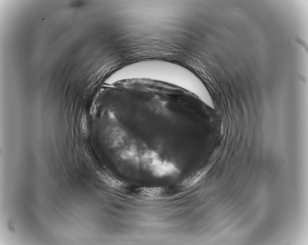 X0000094970143200712201231