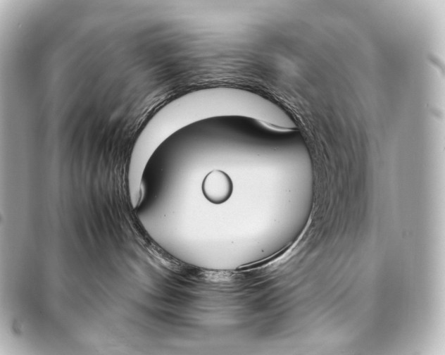 X0000094970144200712201231