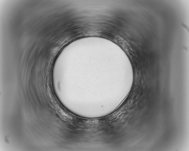 X0000094970145200712201230