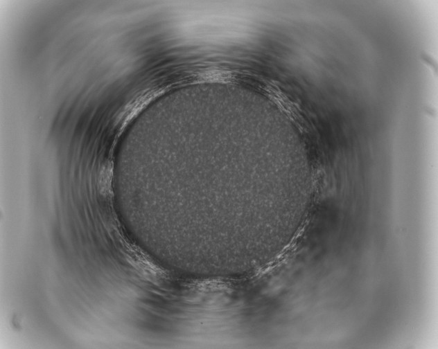 X0000094970146200712201230