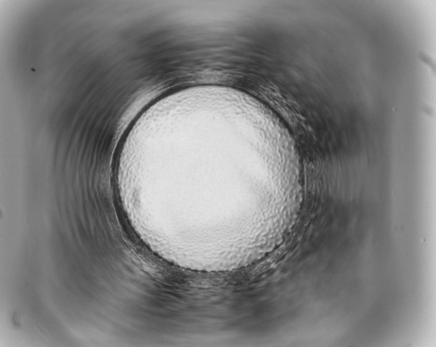 X0000094970147200712201230