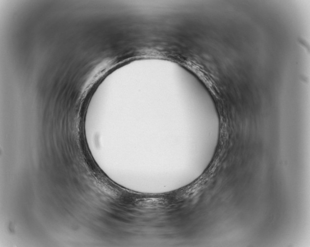 X0000094970151200712201230