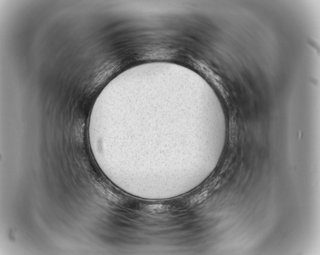 X0000094970153200712201230