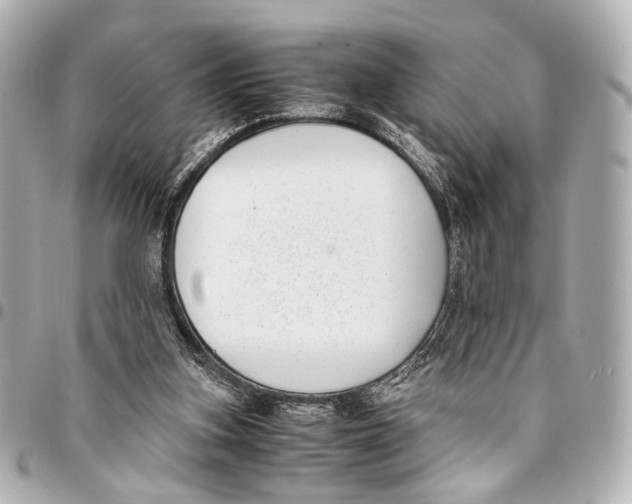 X0000094970155200712201230