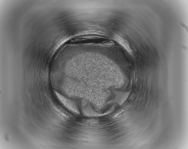 X0000094970156200712201230