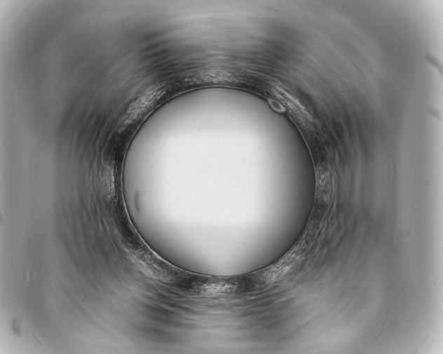 X0000094970158200712201230