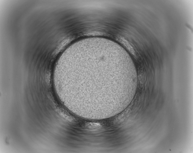 X0000094970159200712201230