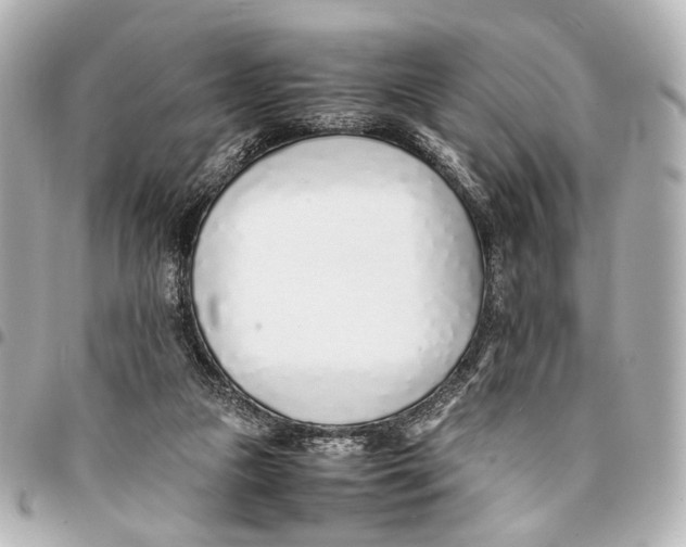 X0000094970161200712201230