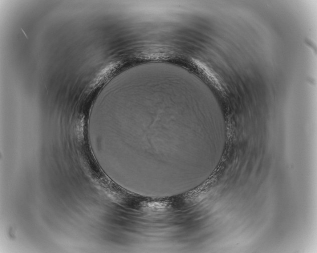 X0000094970163200712201230