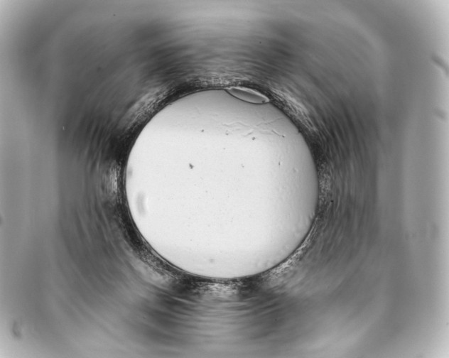 X0000094970166200712201230