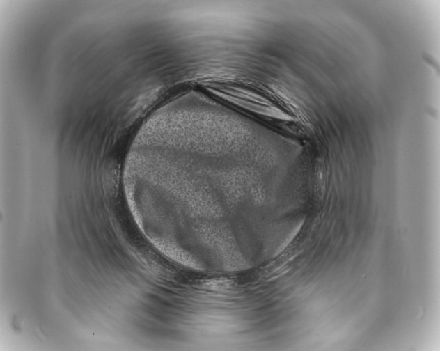 X0000094970168200712201230