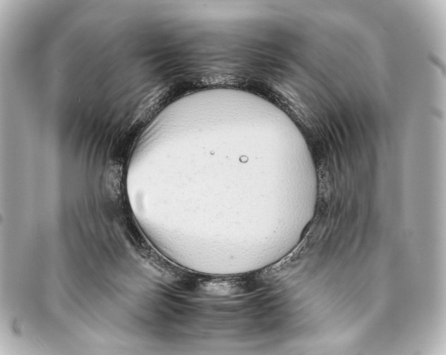 X0000094970171200712201230