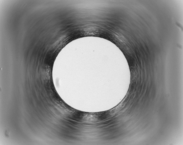 X0000094970174200712201230