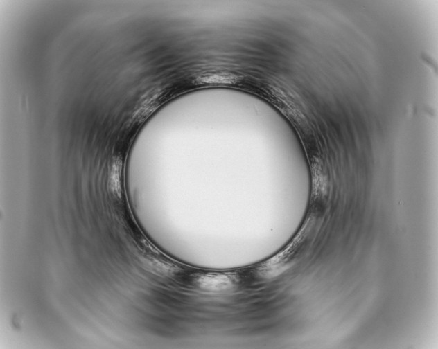 X0000094970175200712201230