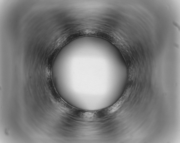 X0000094970176200712201230