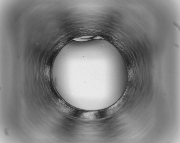 X0000094970178200712201230