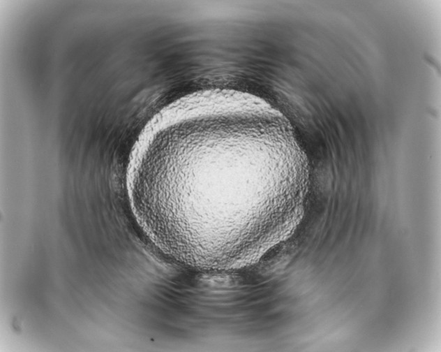 X0000094970181200712201230