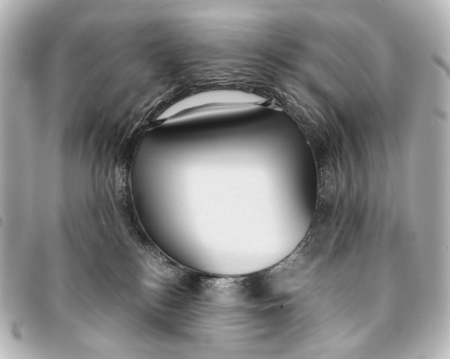 X0000094970184200712201230