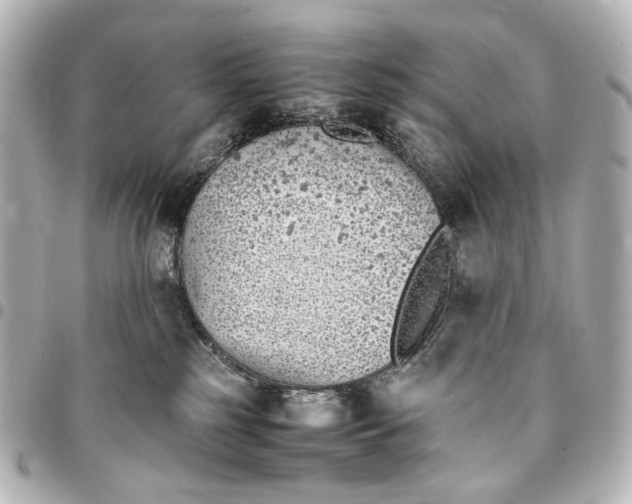 X0000094970185200712201230