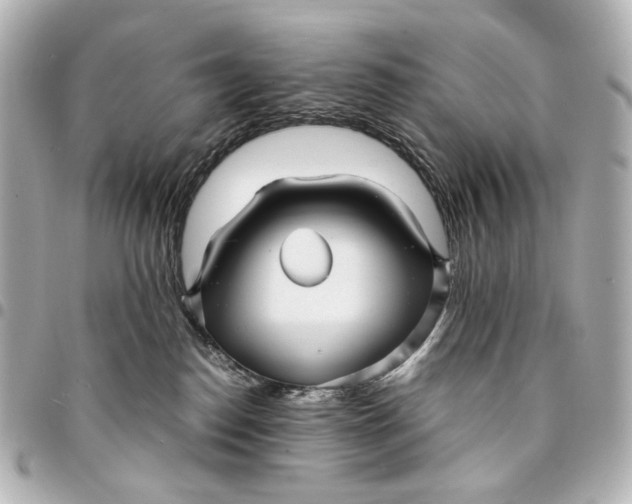 X0000094970186200712201230