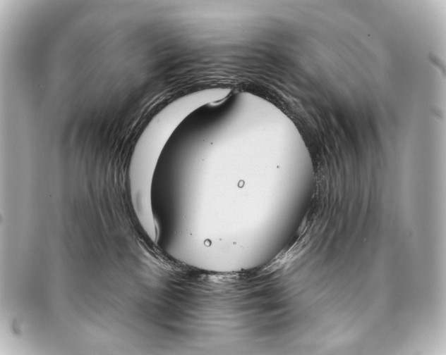 X0000094970188200712201231