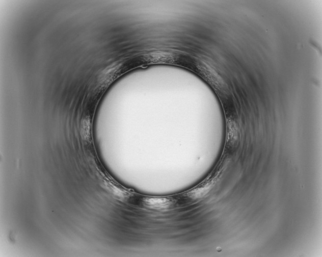 X0000094970189200712201231