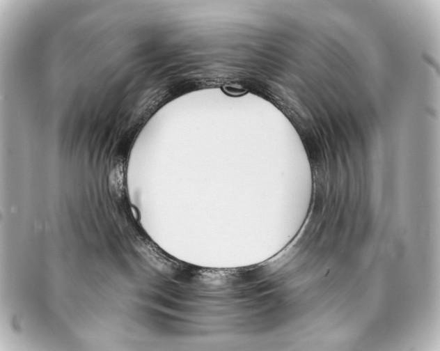 X0000094970190200712201231