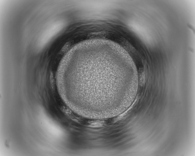 X0000094970191200712201231