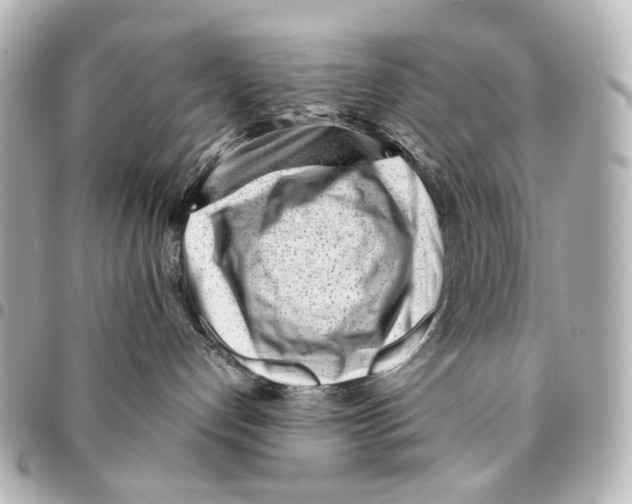 X0000094970192200712201231