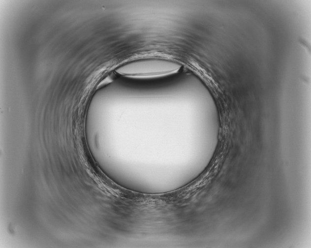 X0000094970193200712201230