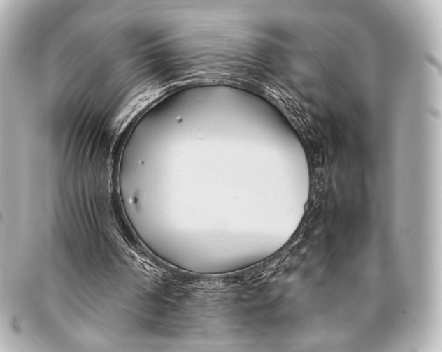 X0000094970194200712201230