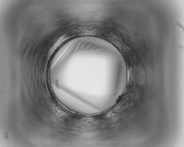 X0000094970195200712201230