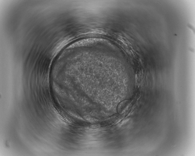 X0000094970196200712201230