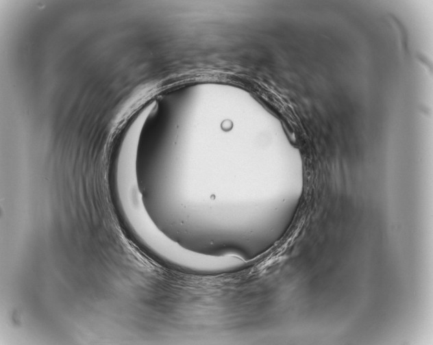 X0000094970197200712201230