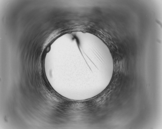 X0000094970198200712201230