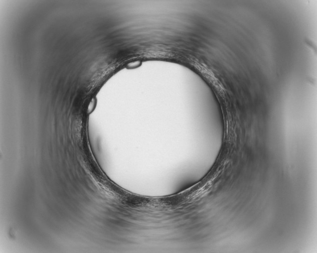 X0000094970201200712201230