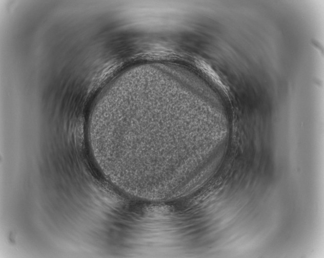 X0000094970202200712201230