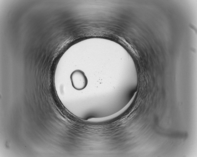 X0000094970203200712201230