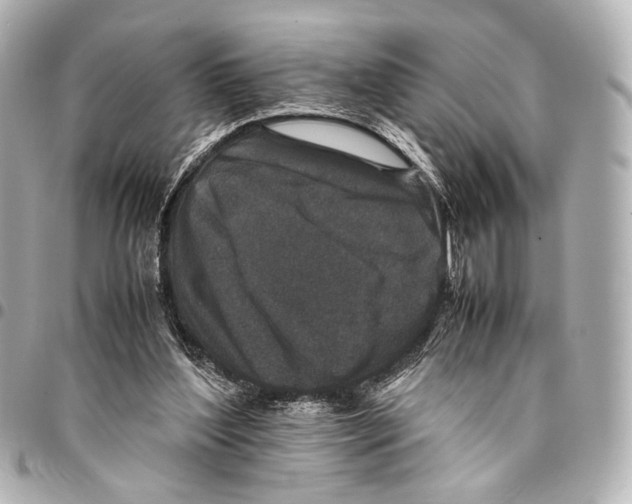 X0000094970204200712201230