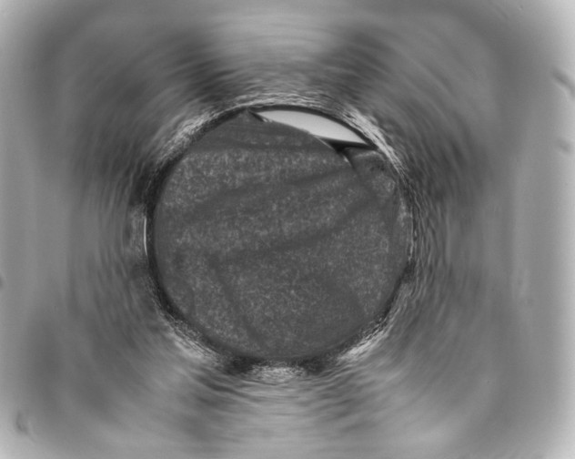 X0000094970205200712201230