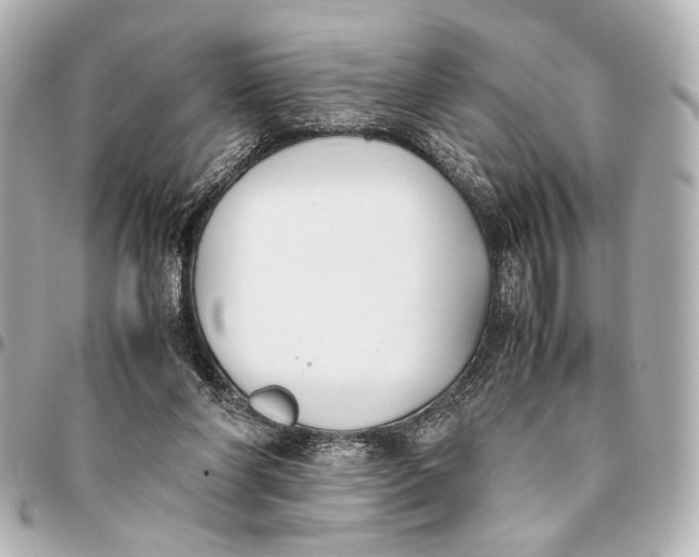 X0000094970206200712201230